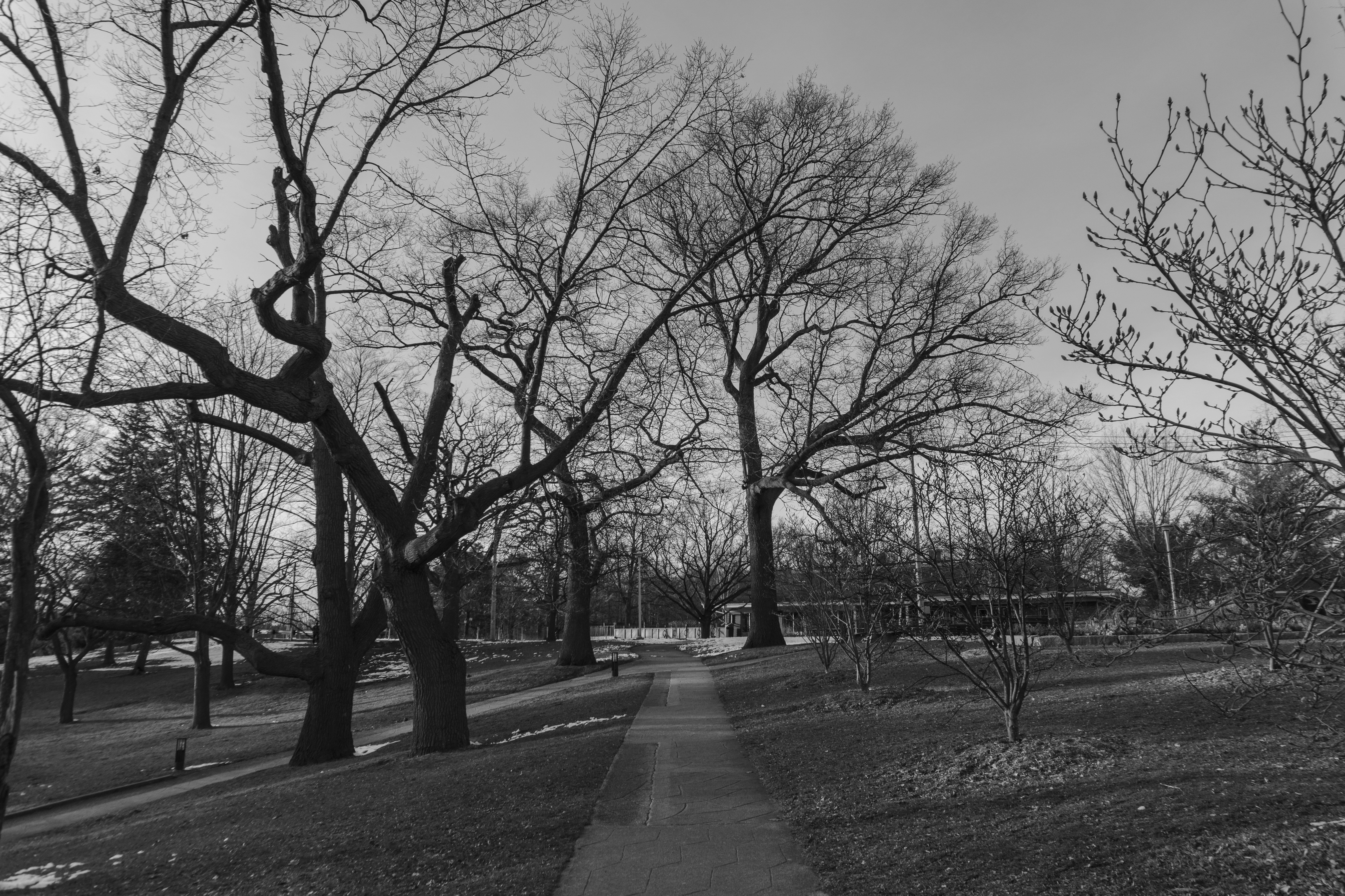 Photo by maheshkkreddy