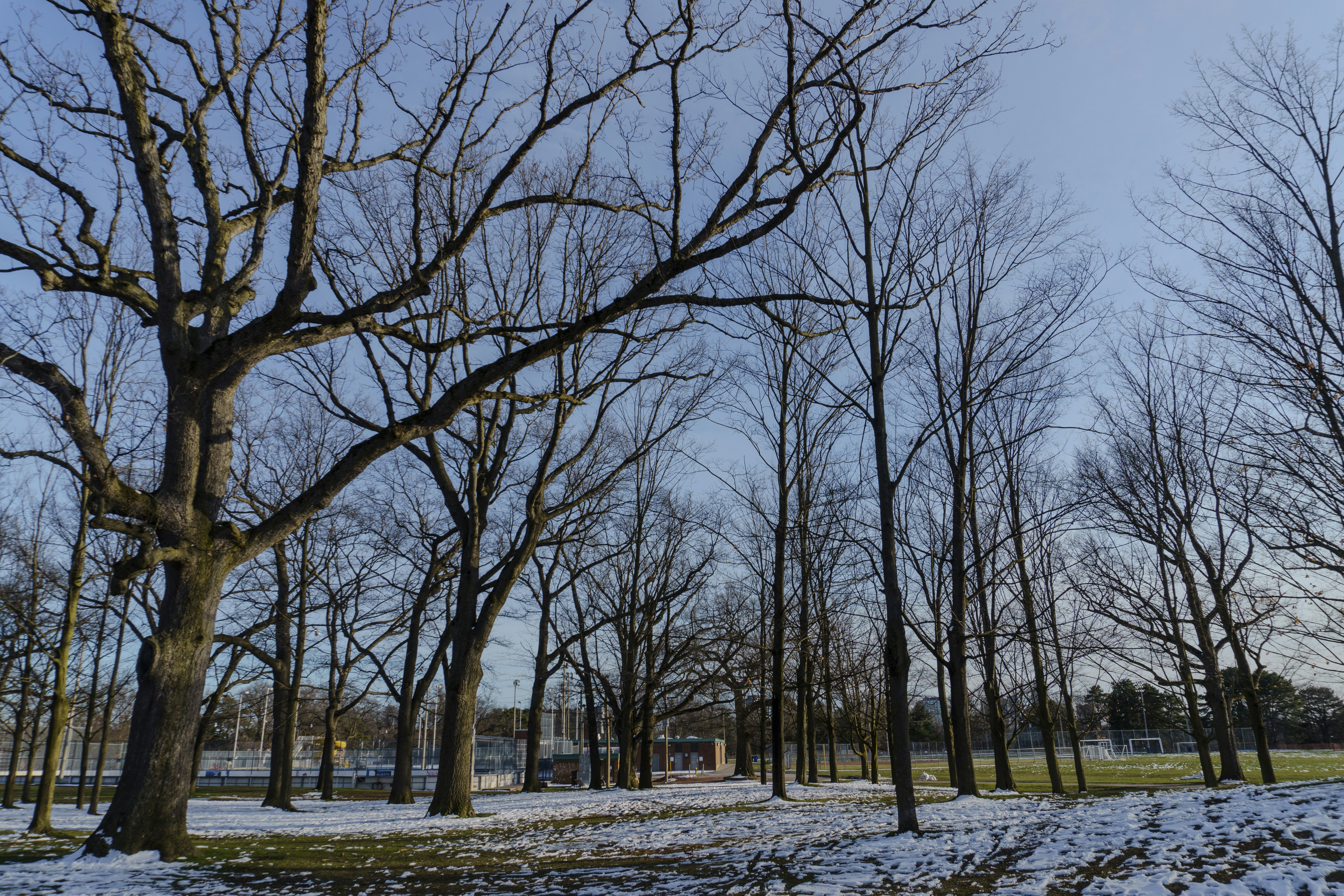 Photo by maheshkkreddy