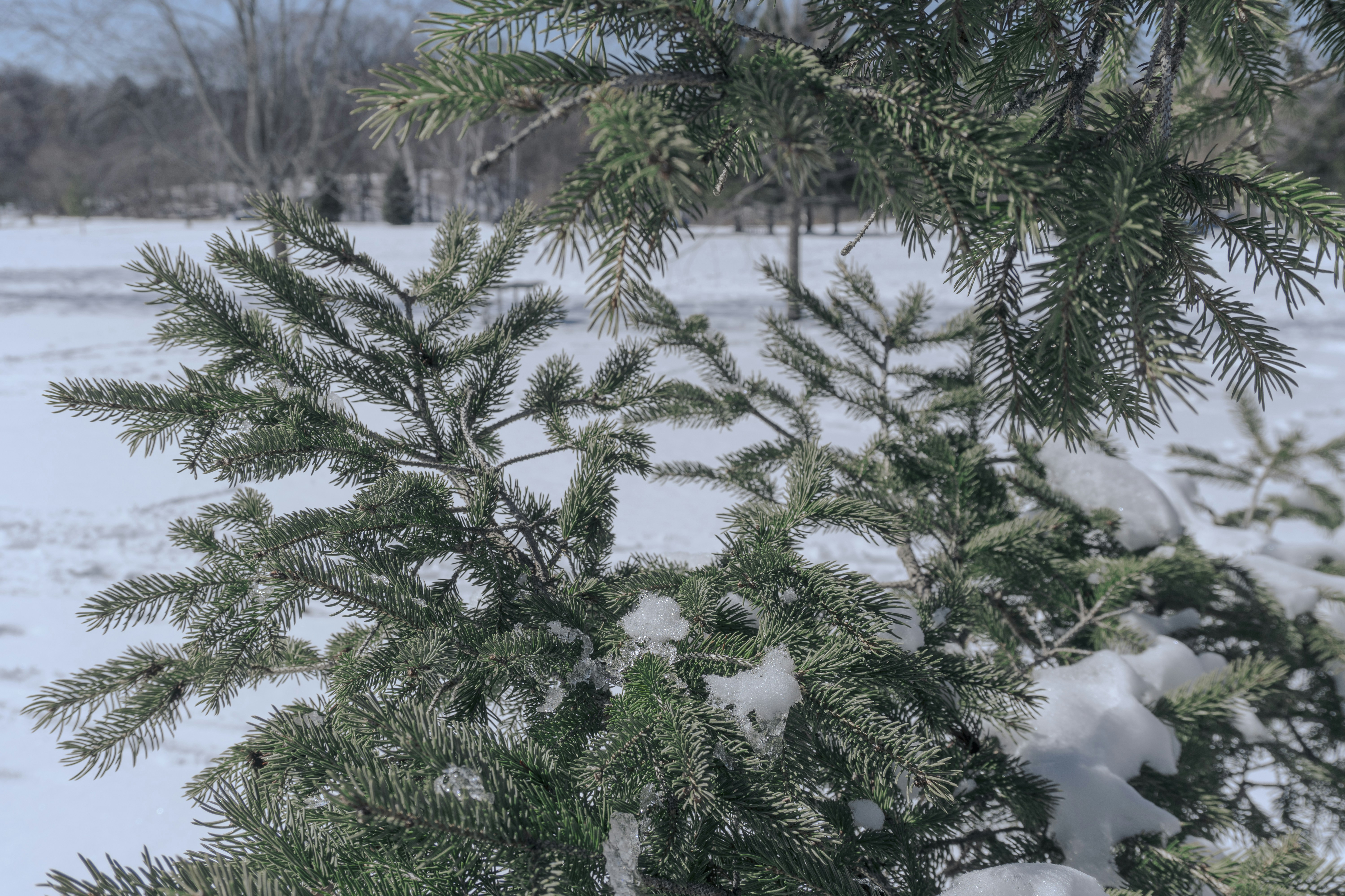 Photo by maheshkkreddy