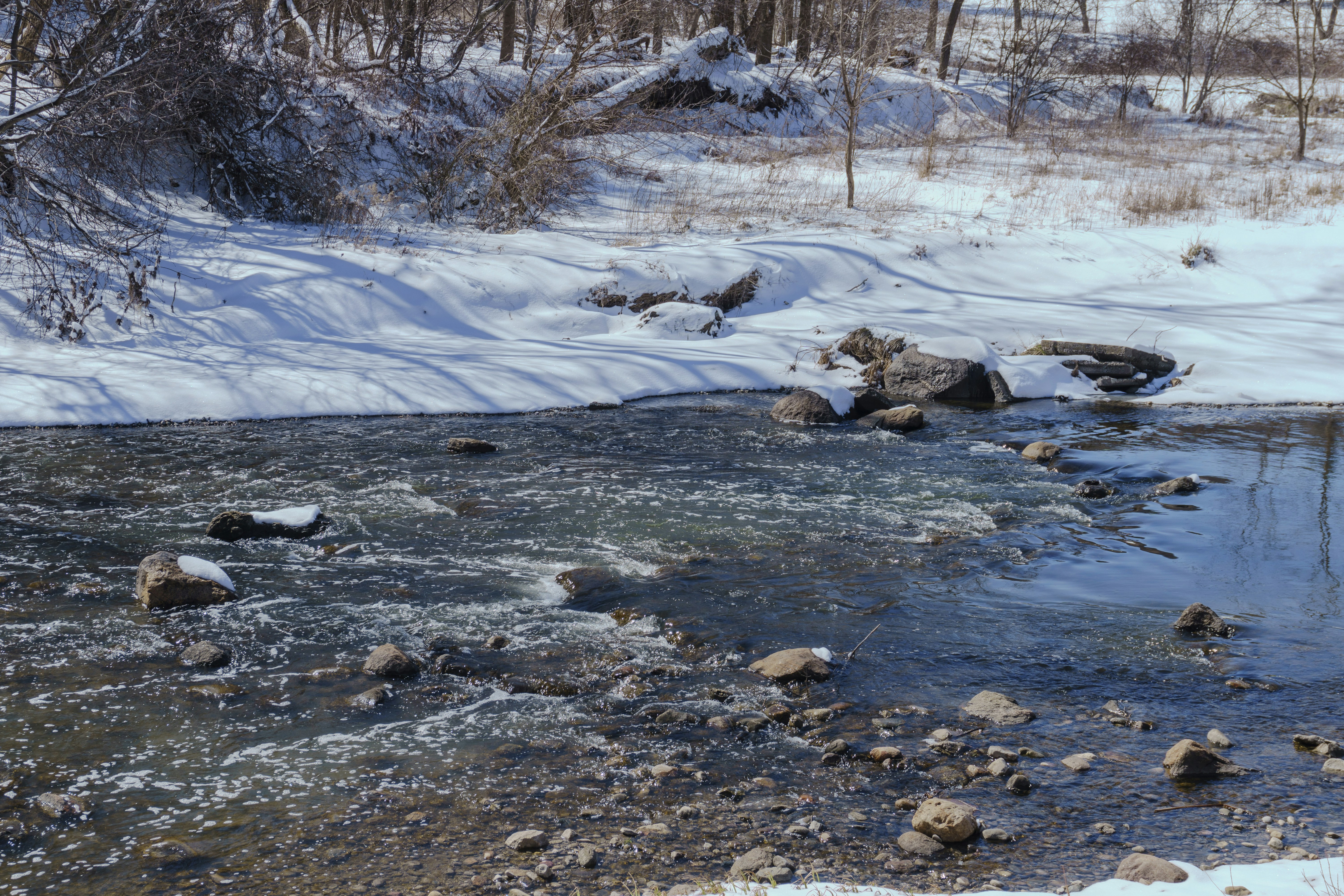 Photo by maheshkkreddy