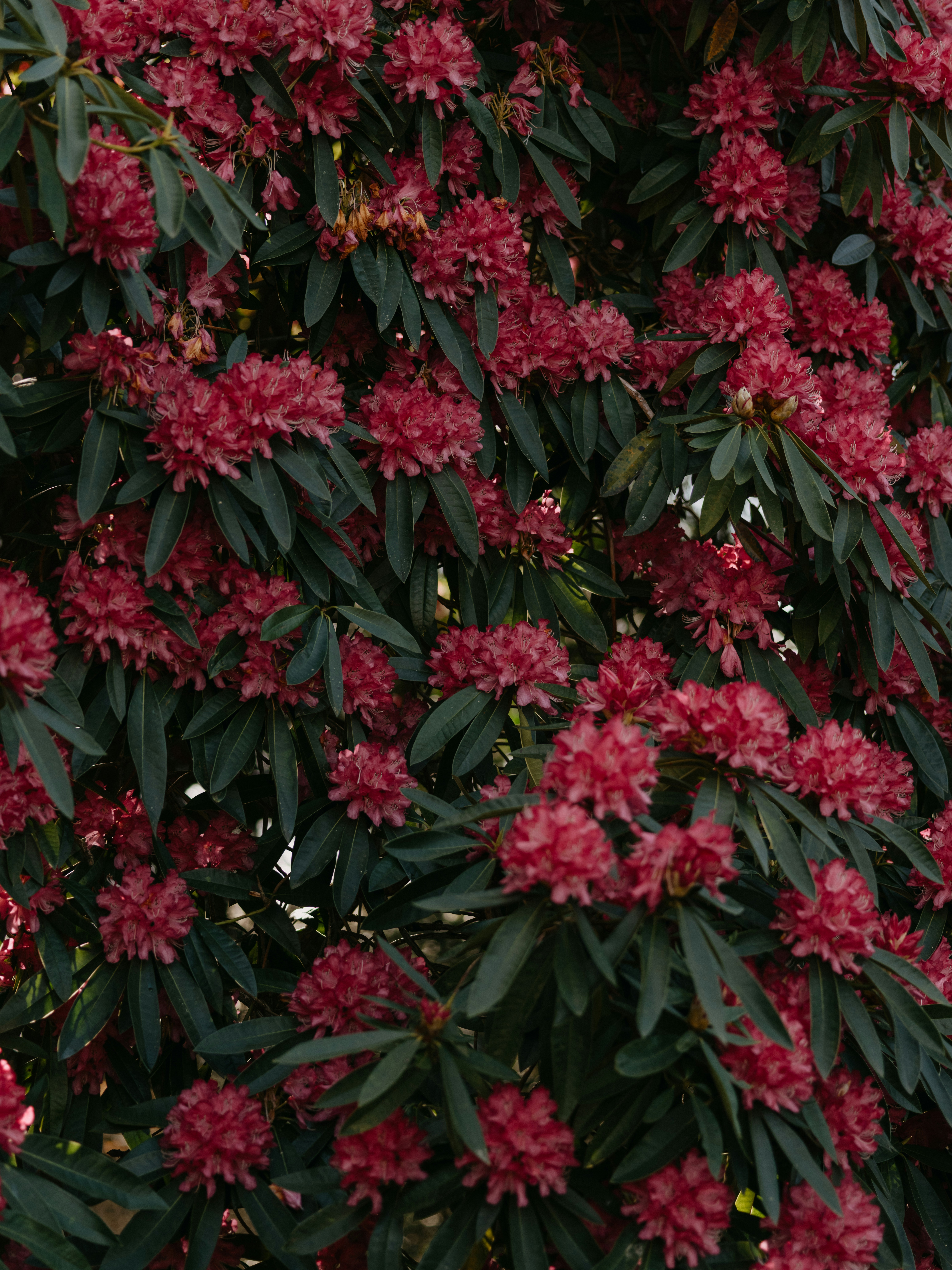 Photo by anniespratt