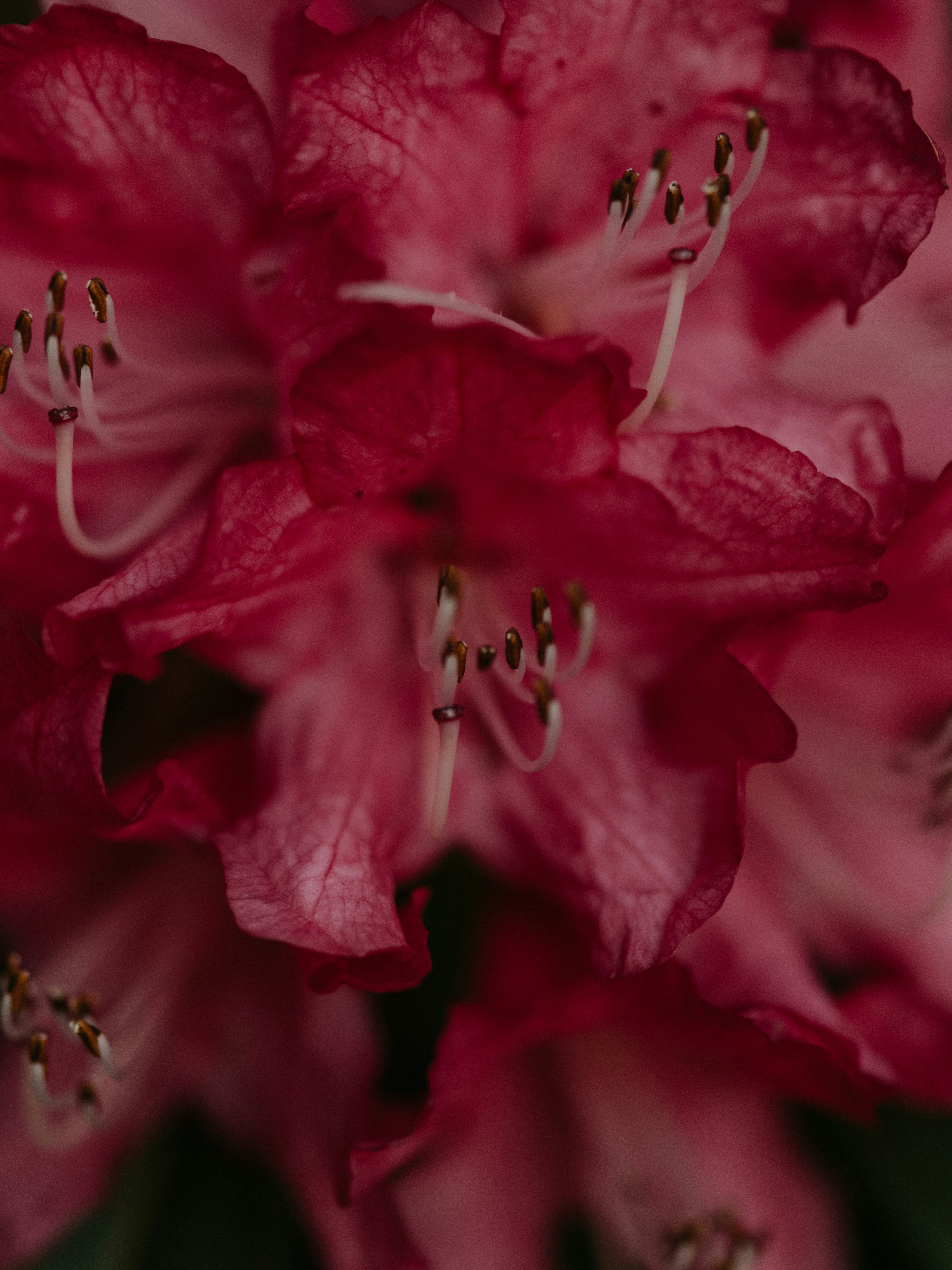 Photo by anniespratt