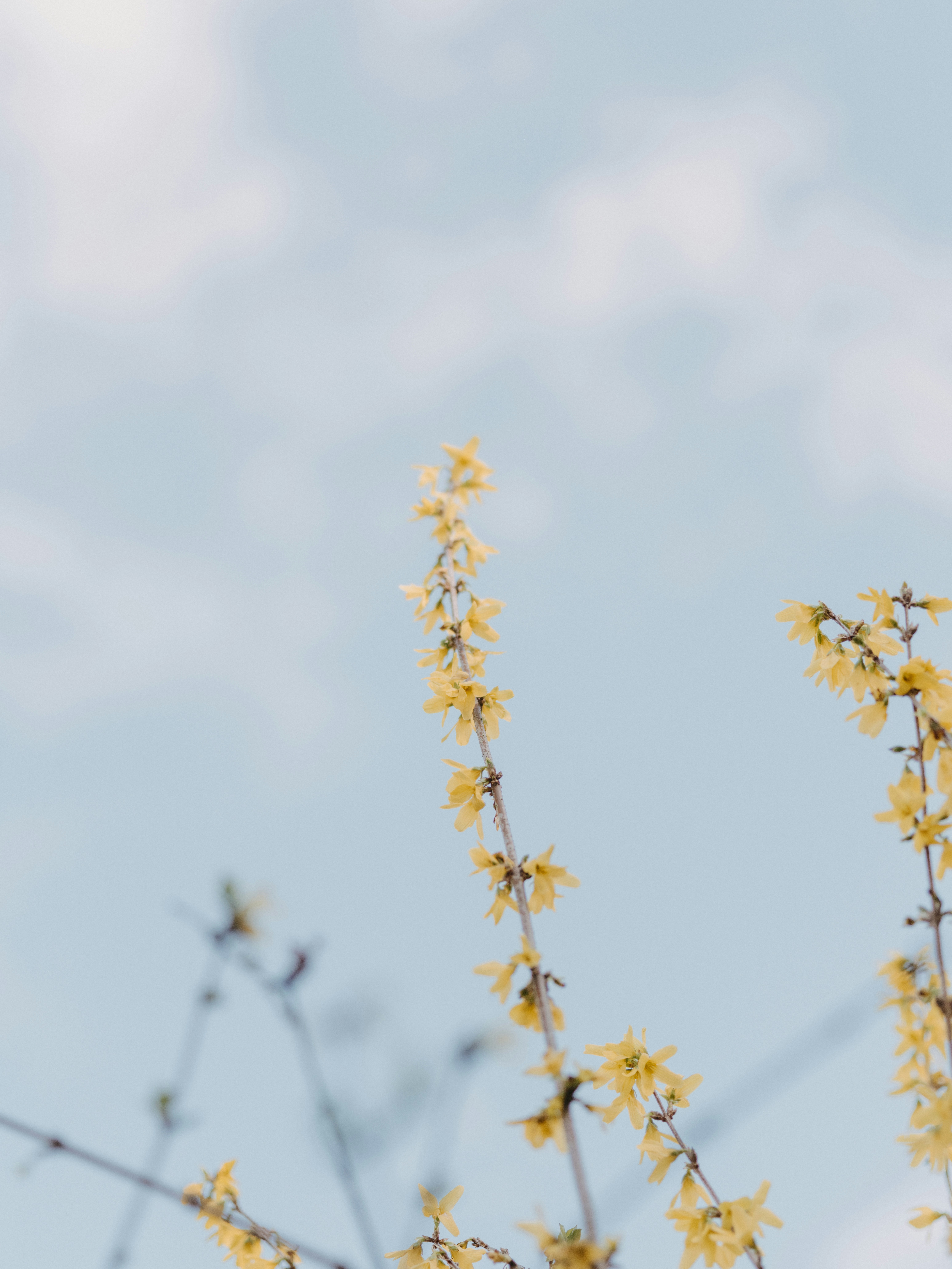 Photo by anniespratt