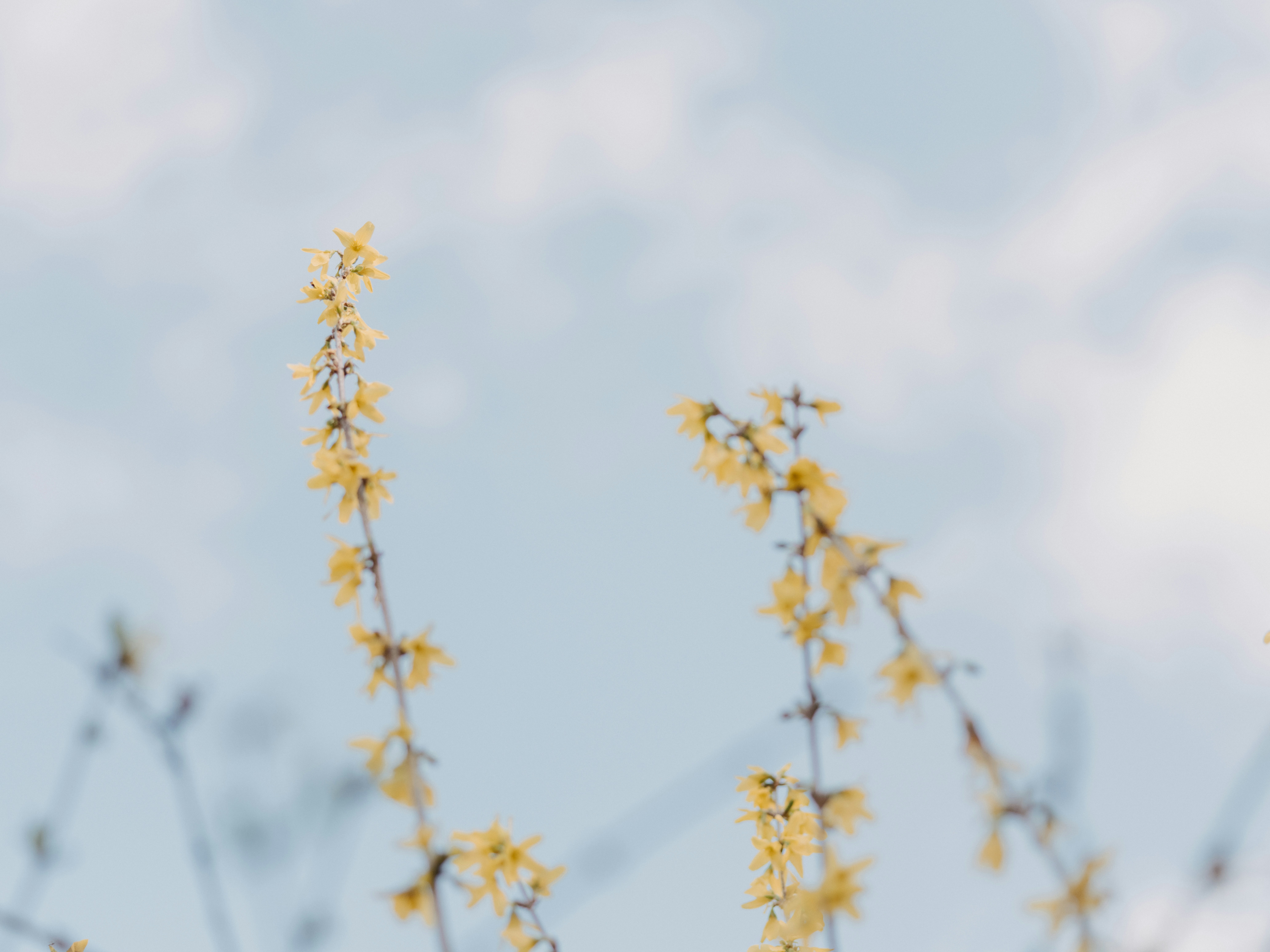 Photo by anniespratt