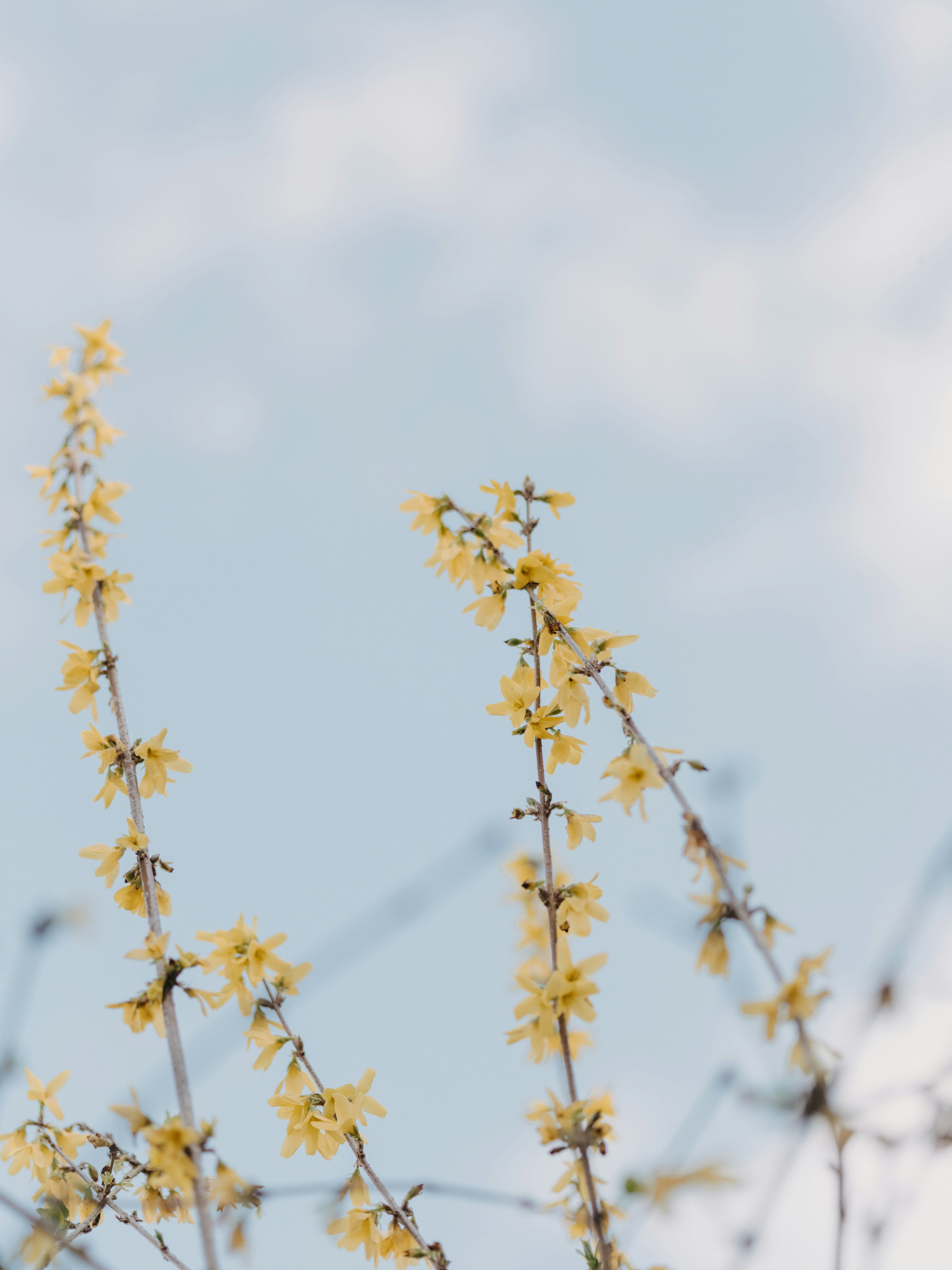 Photo by anniespratt