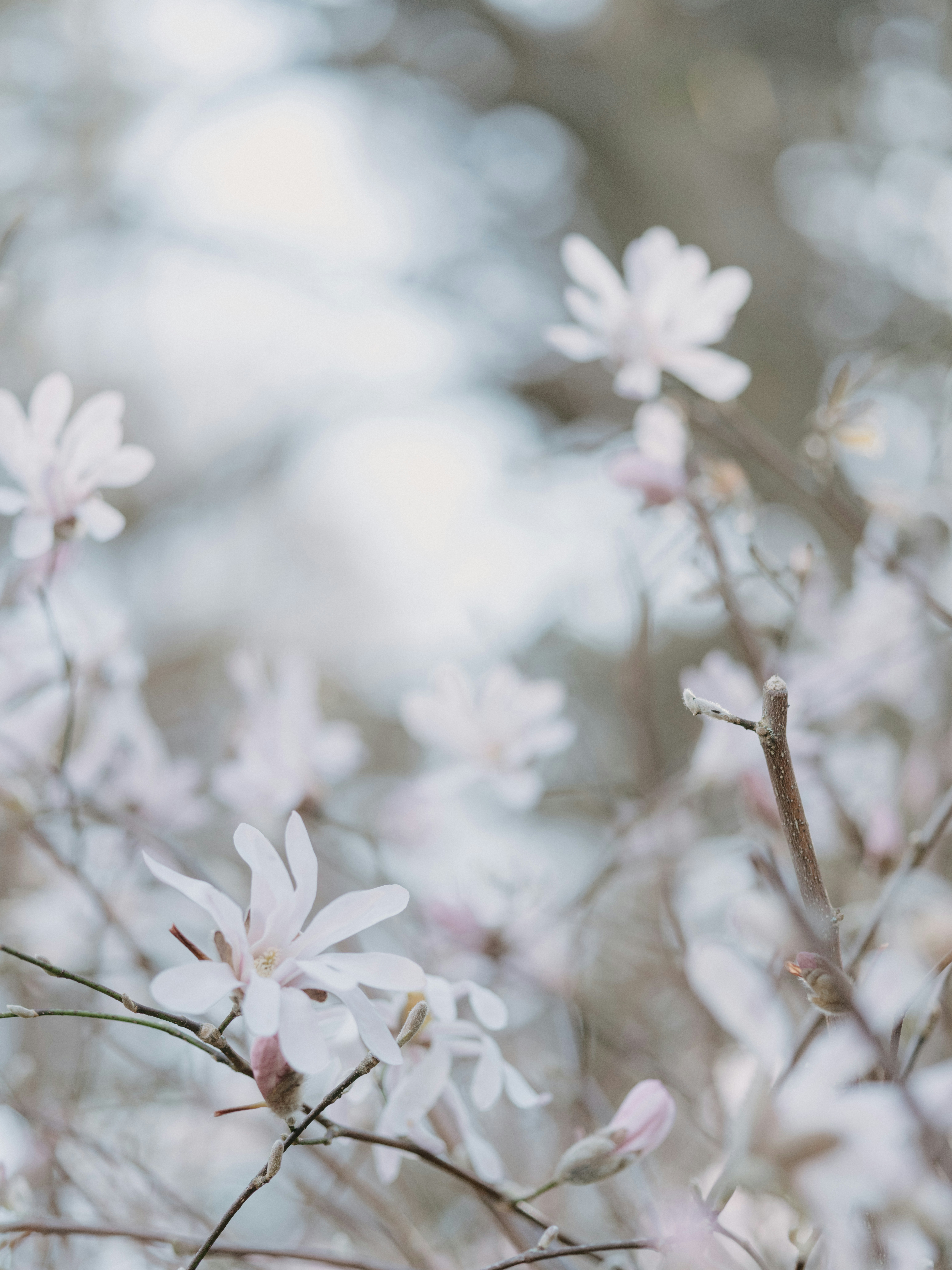 Photo by anniespratt