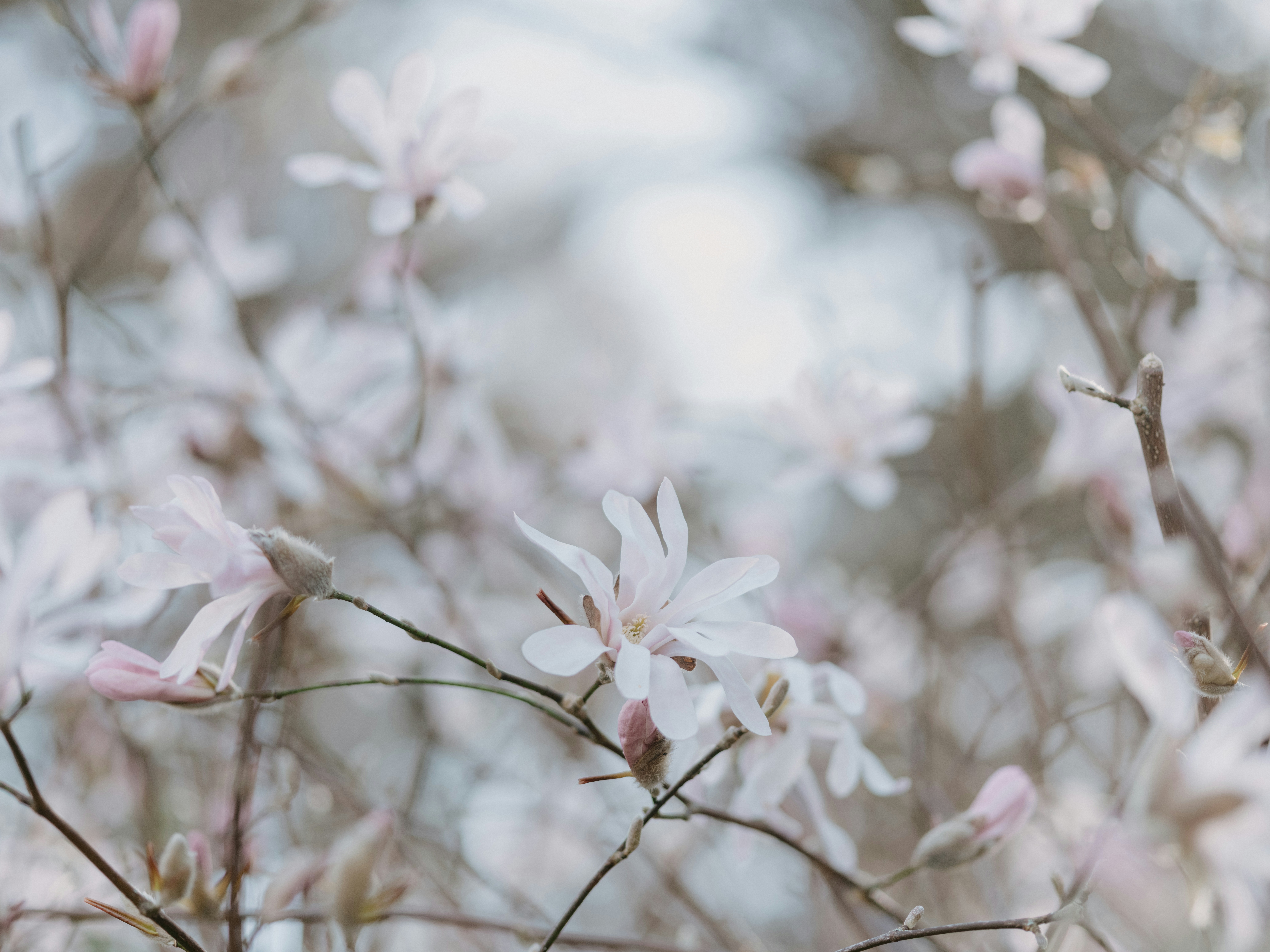 Photo by anniespratt