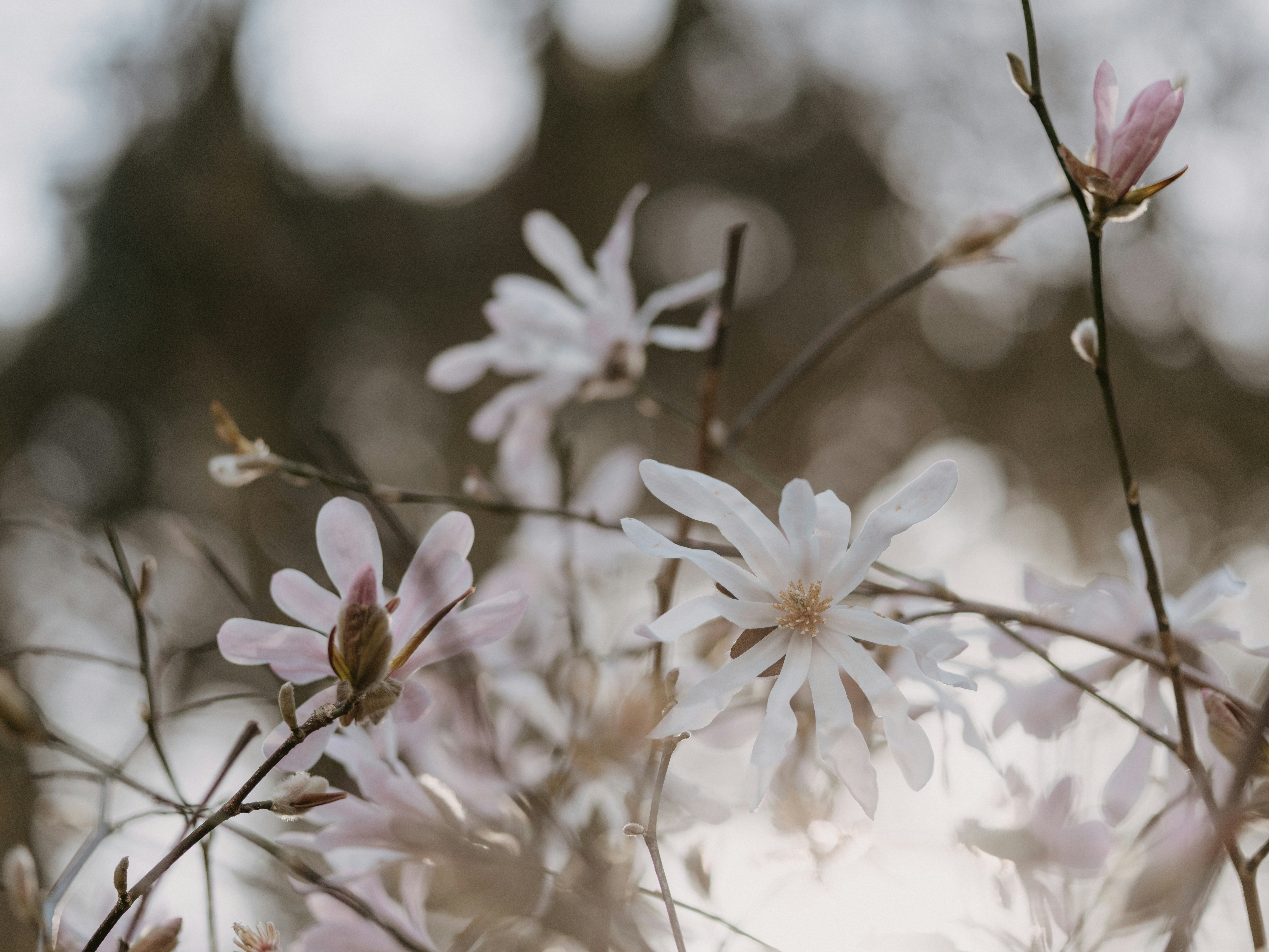 Photo by anniespratt