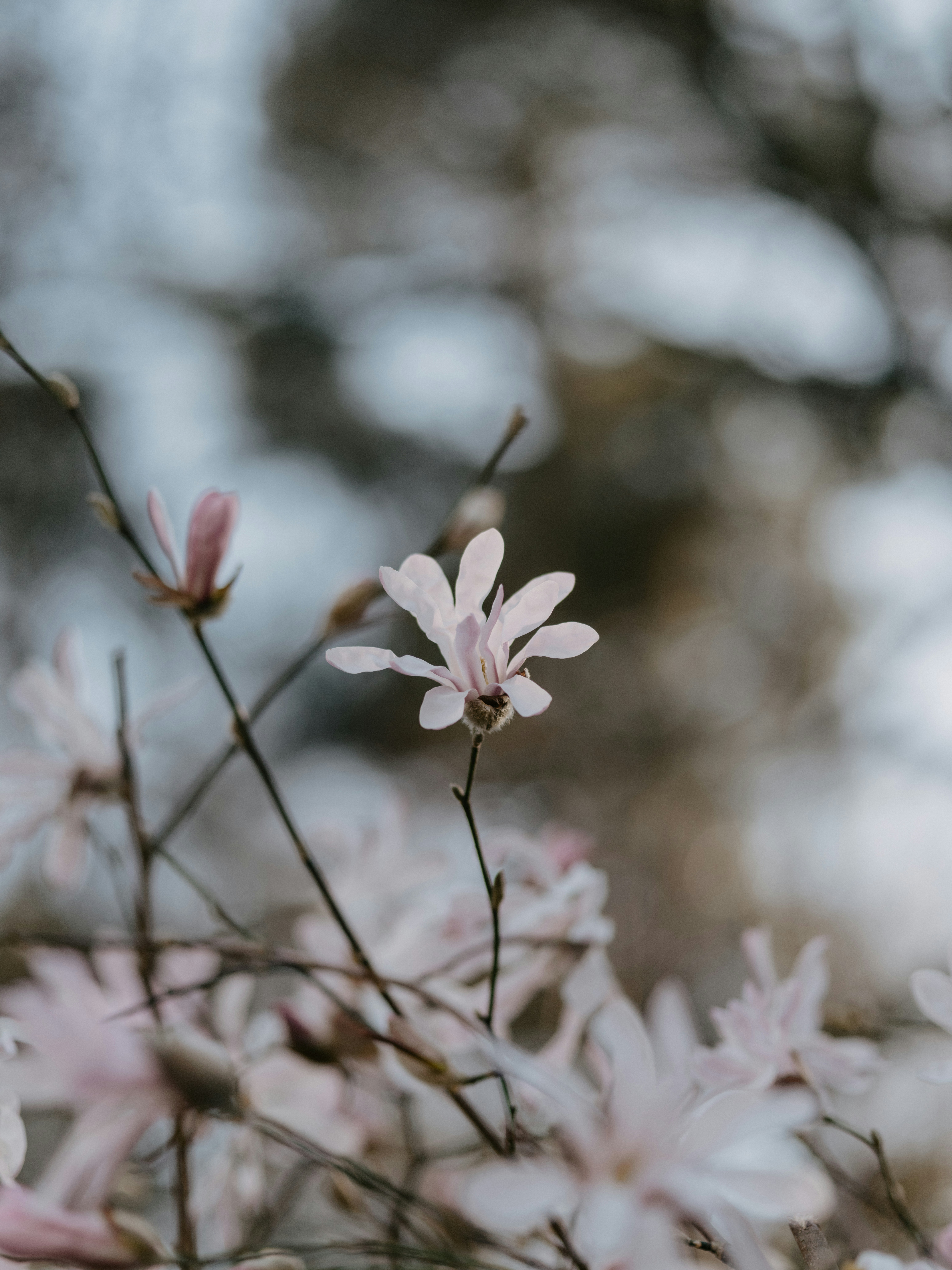Photo by anniespratt