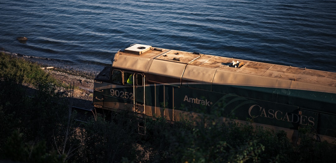 a train on a track next to the water,