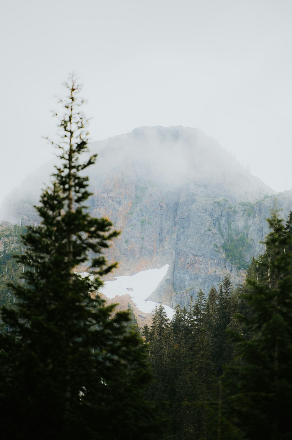 a view of a mountain through the trees