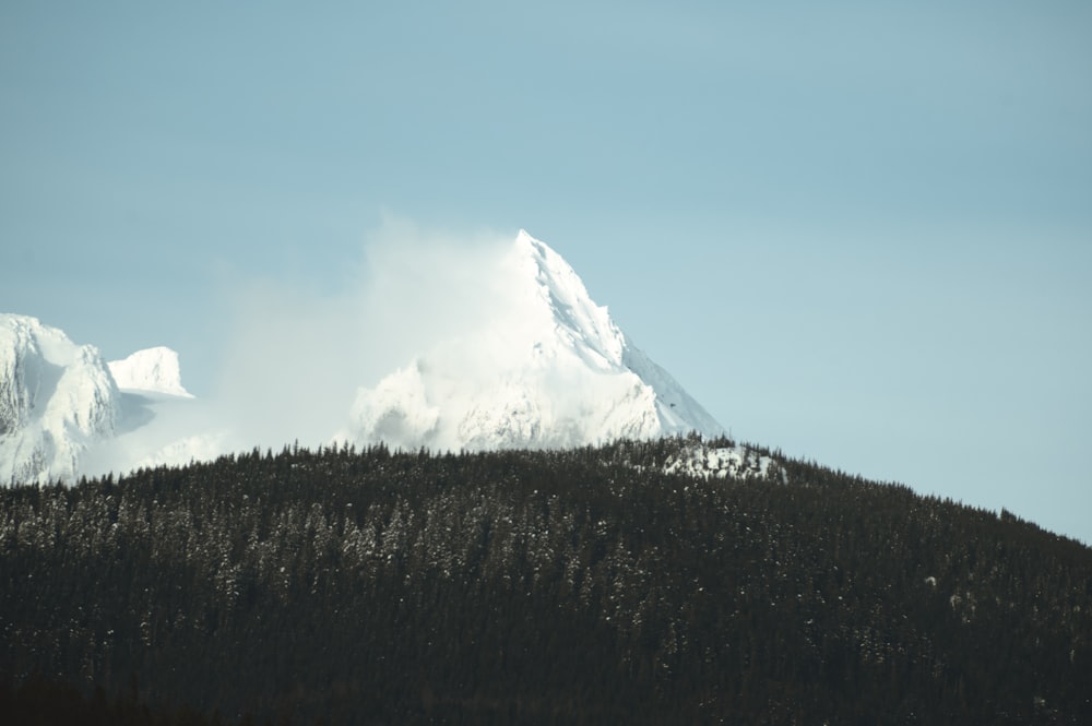 a snow covered mountain with trees in the foreground