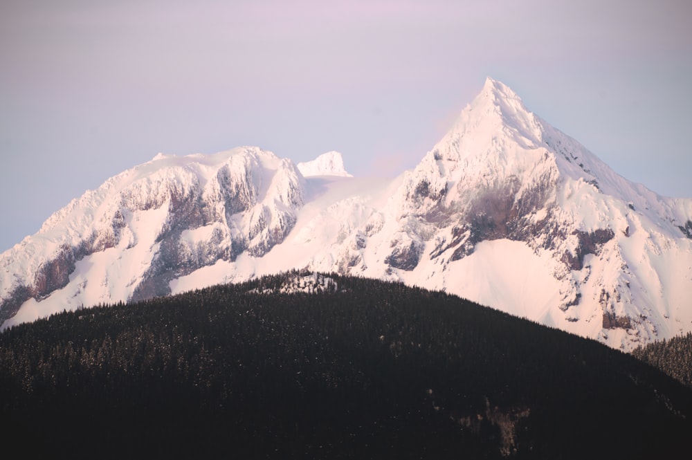 a snow covered mountain range with trees in the foreground