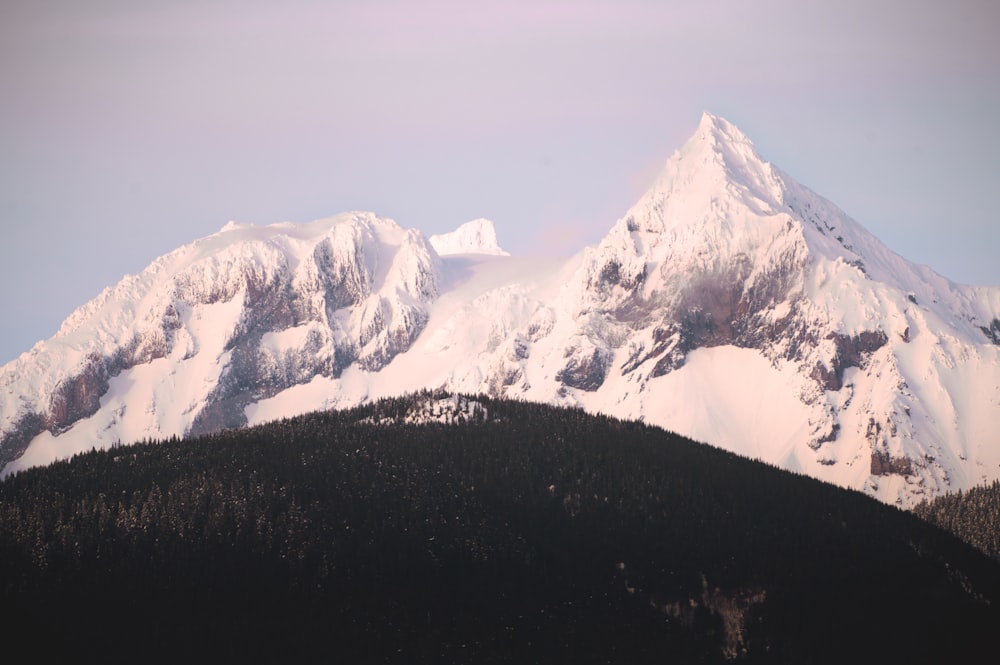 una cadena montañosa cubierta de nieve con árboles en primer plano