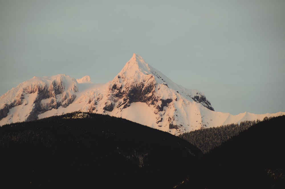 uma montanha coberta de neve com árvores em primeiro plano