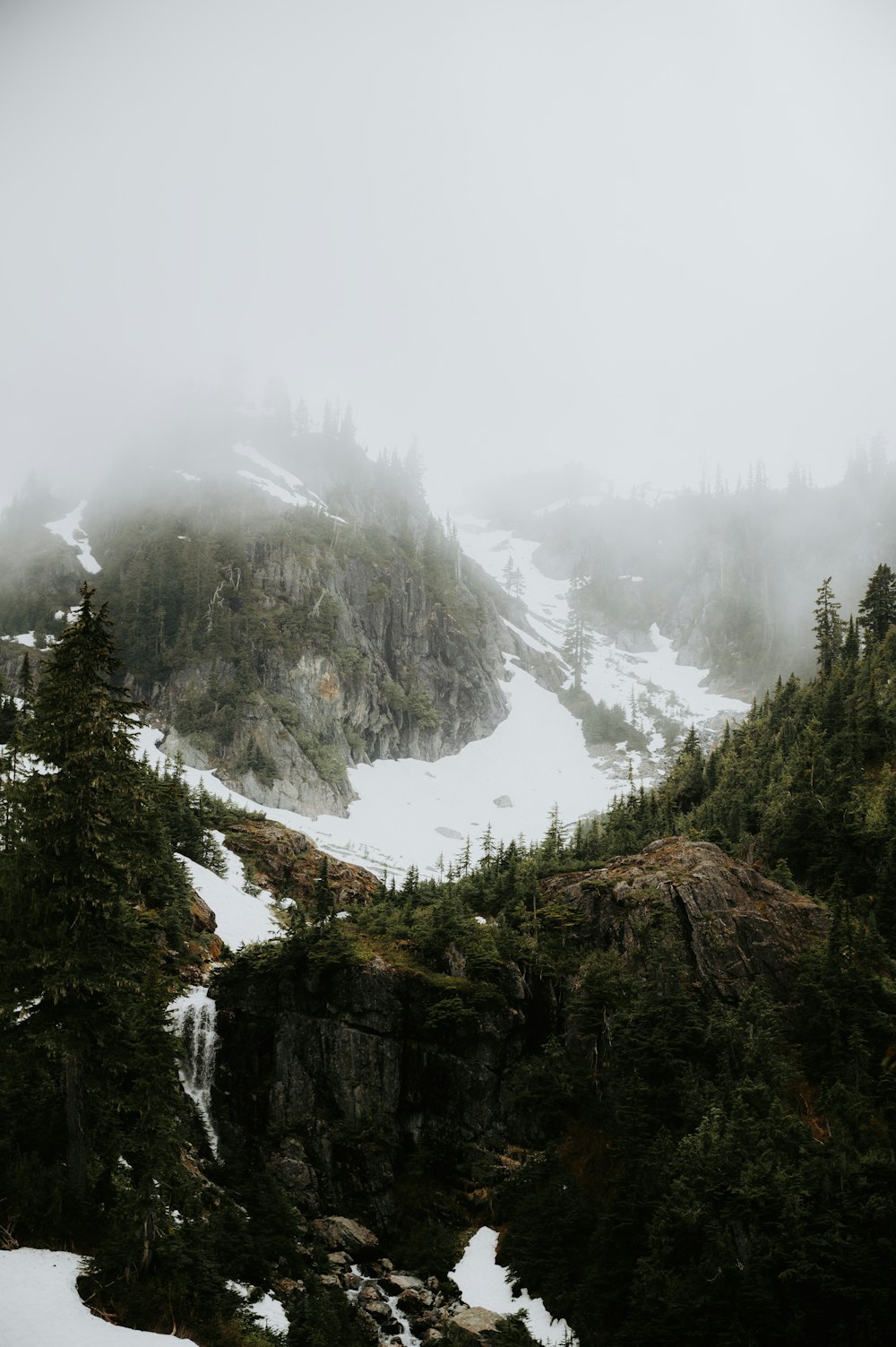 a mountain covered in snow and surrounded by trees