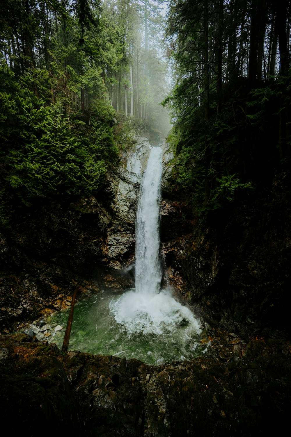 a waterfall in the middle of a forest