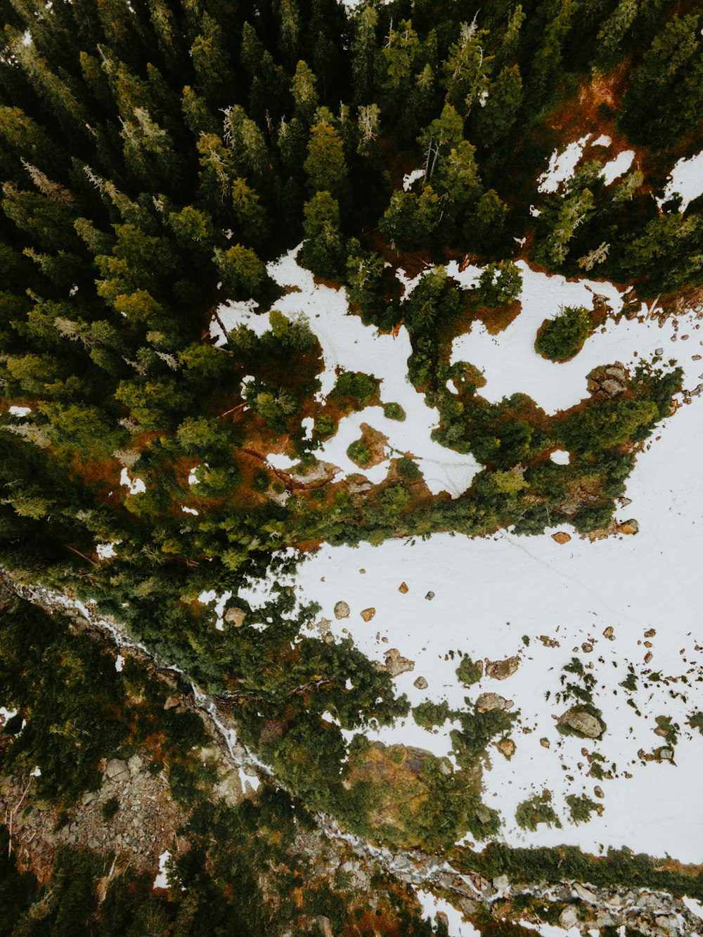 an aerial view of a snow covered forest