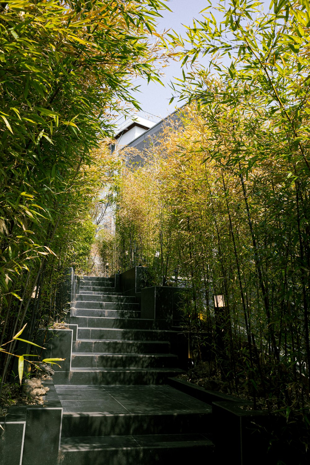 a set of steps leading up to a building