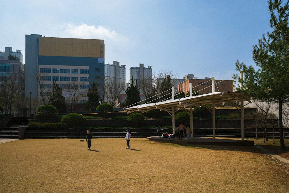 a couple of people that are standing in the grass