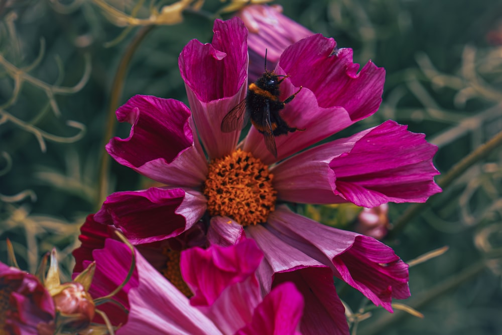 a bee sitting on top of a purple flower