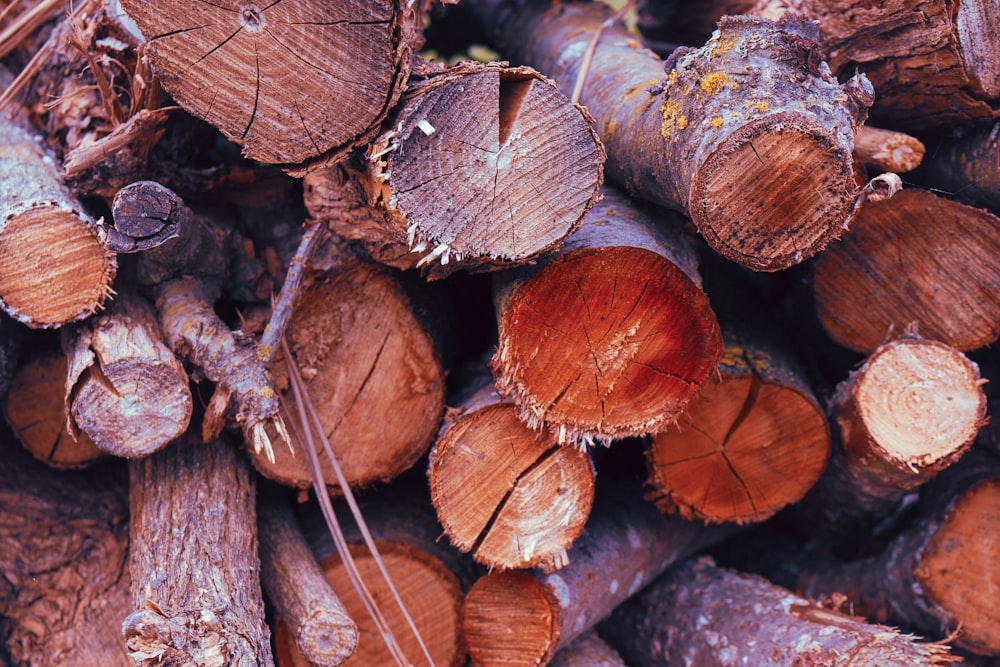 a pile of cut wood sitting next to each other