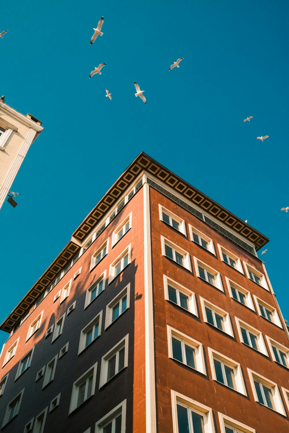 a group of birds flying over a tall building