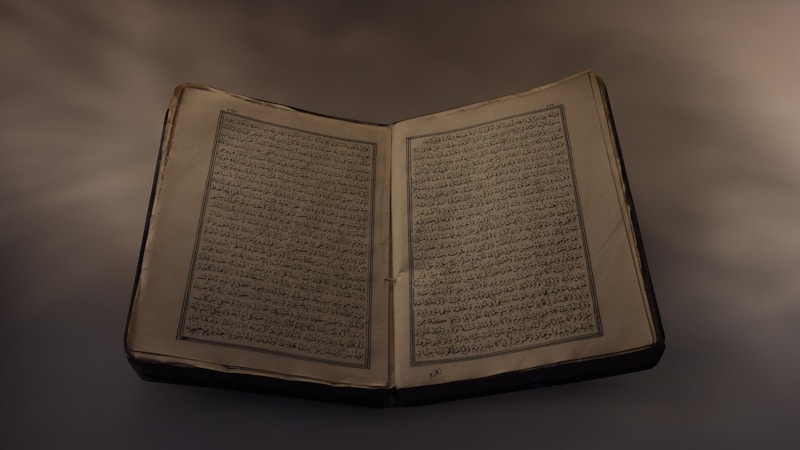Fable 2026 Side Quests: NPC Interactions and Depth