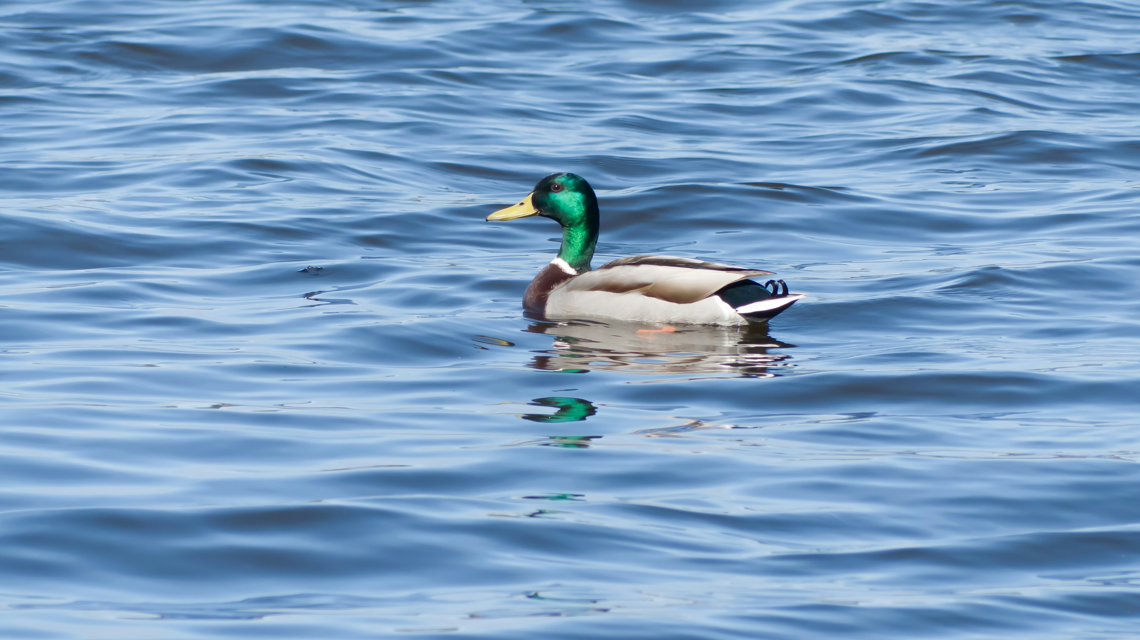 Convivialité, échange et rire au bord de l’eau