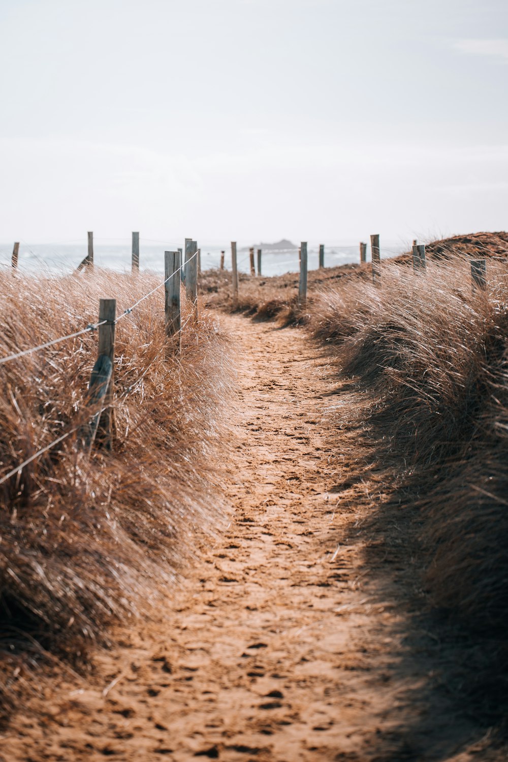 a path leading to the beach through tall grass