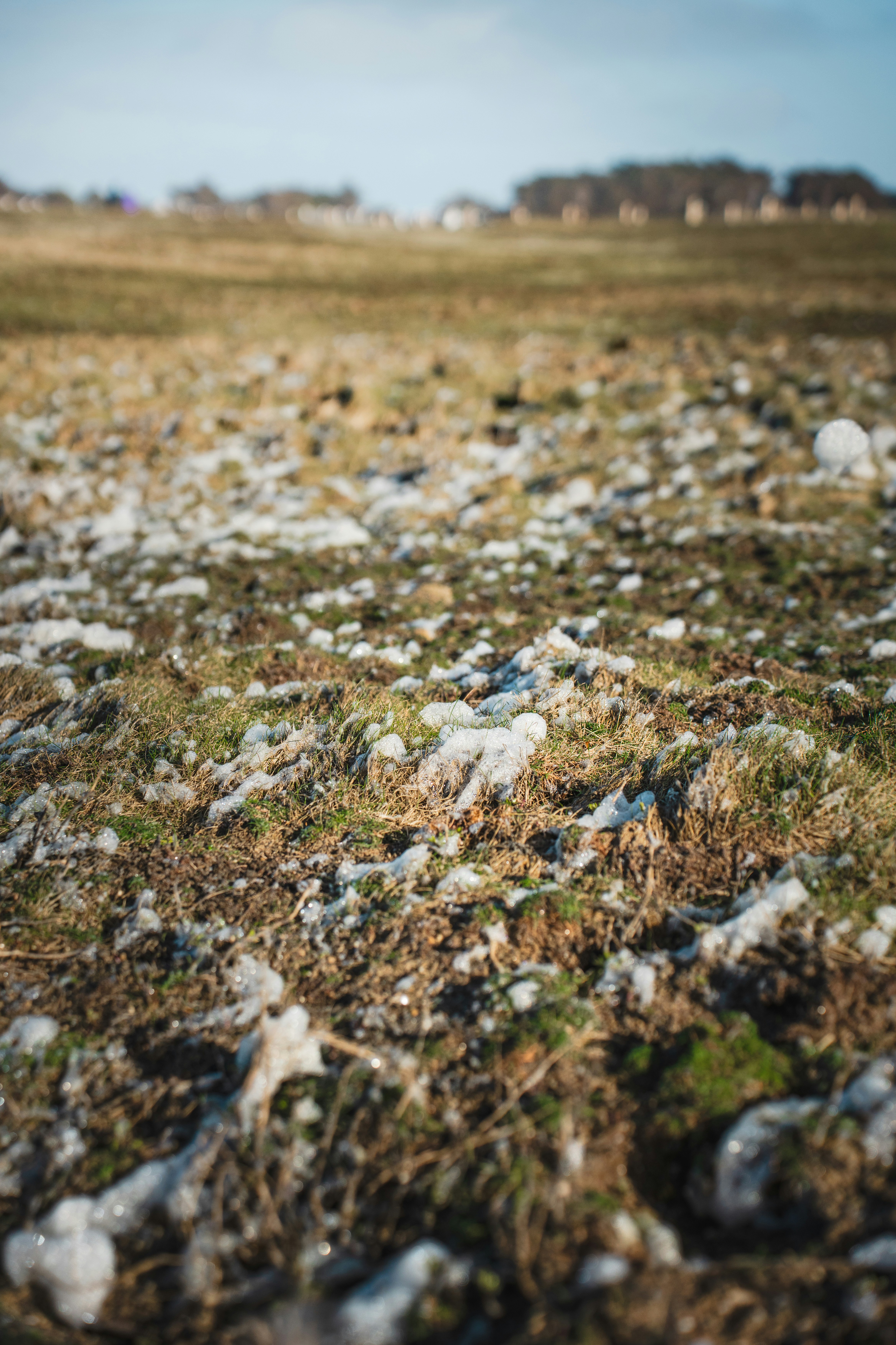 Photo by clementproust