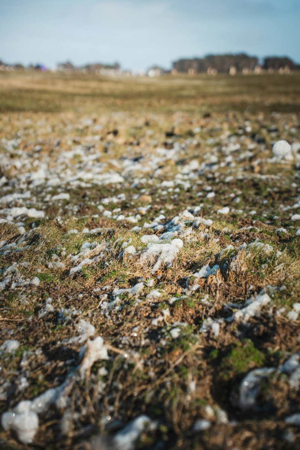 a field covered in lots of snow next to a forest