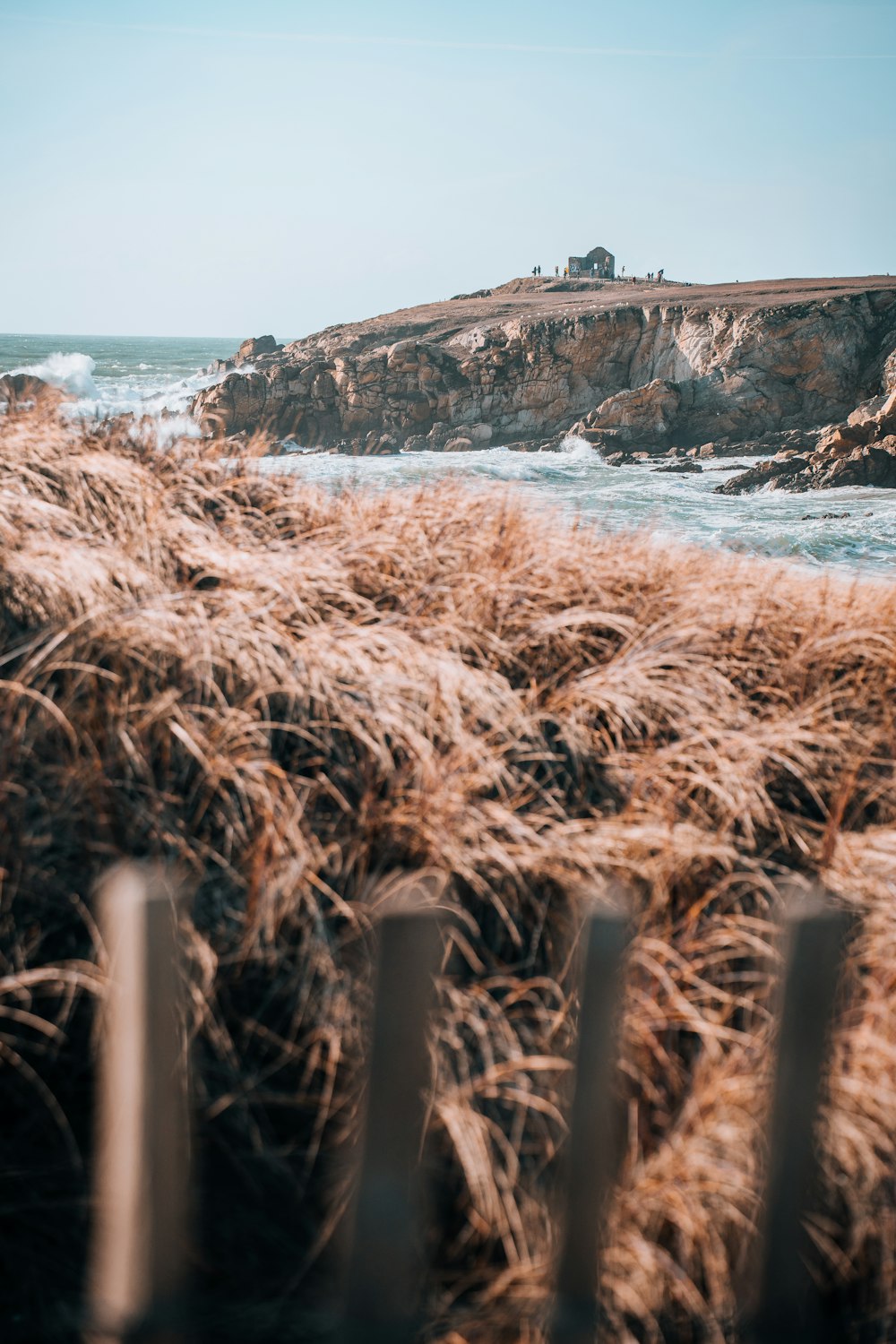 a grassy area next to a body of water