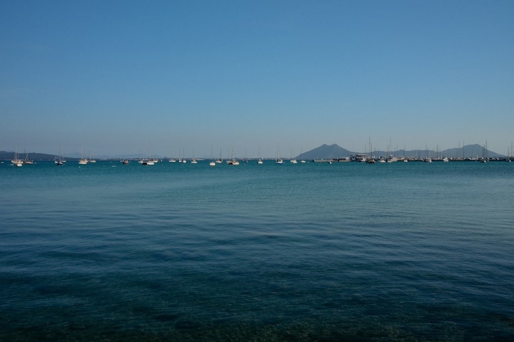 a body of water filled with lots of boats