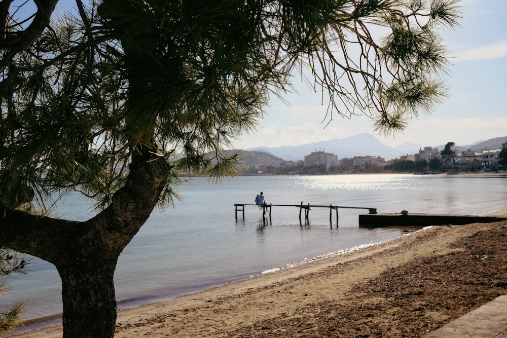 a person standing on a dock in the water