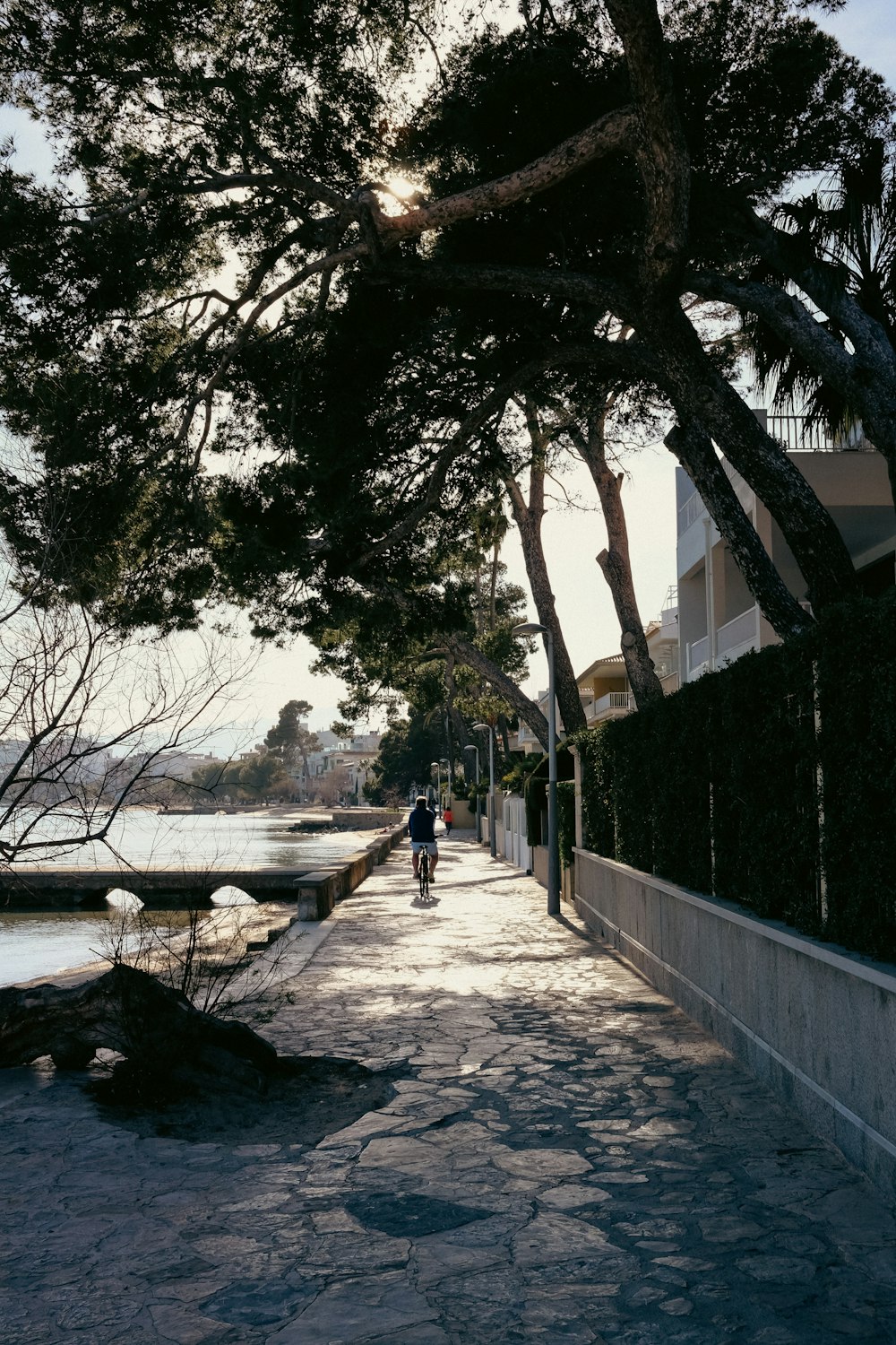 a man riding a bike down a sidewalk next to a body of water