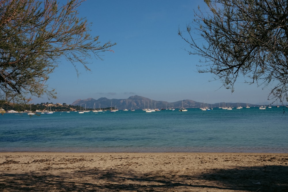 a body of water with boats in the distance