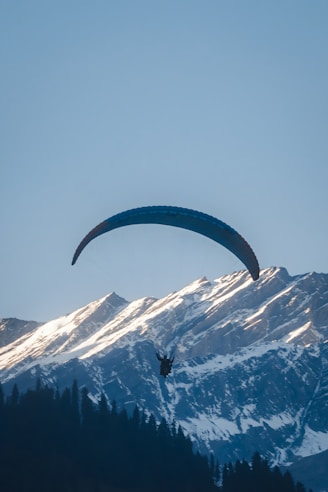 Paragliding Bir Billing Manali