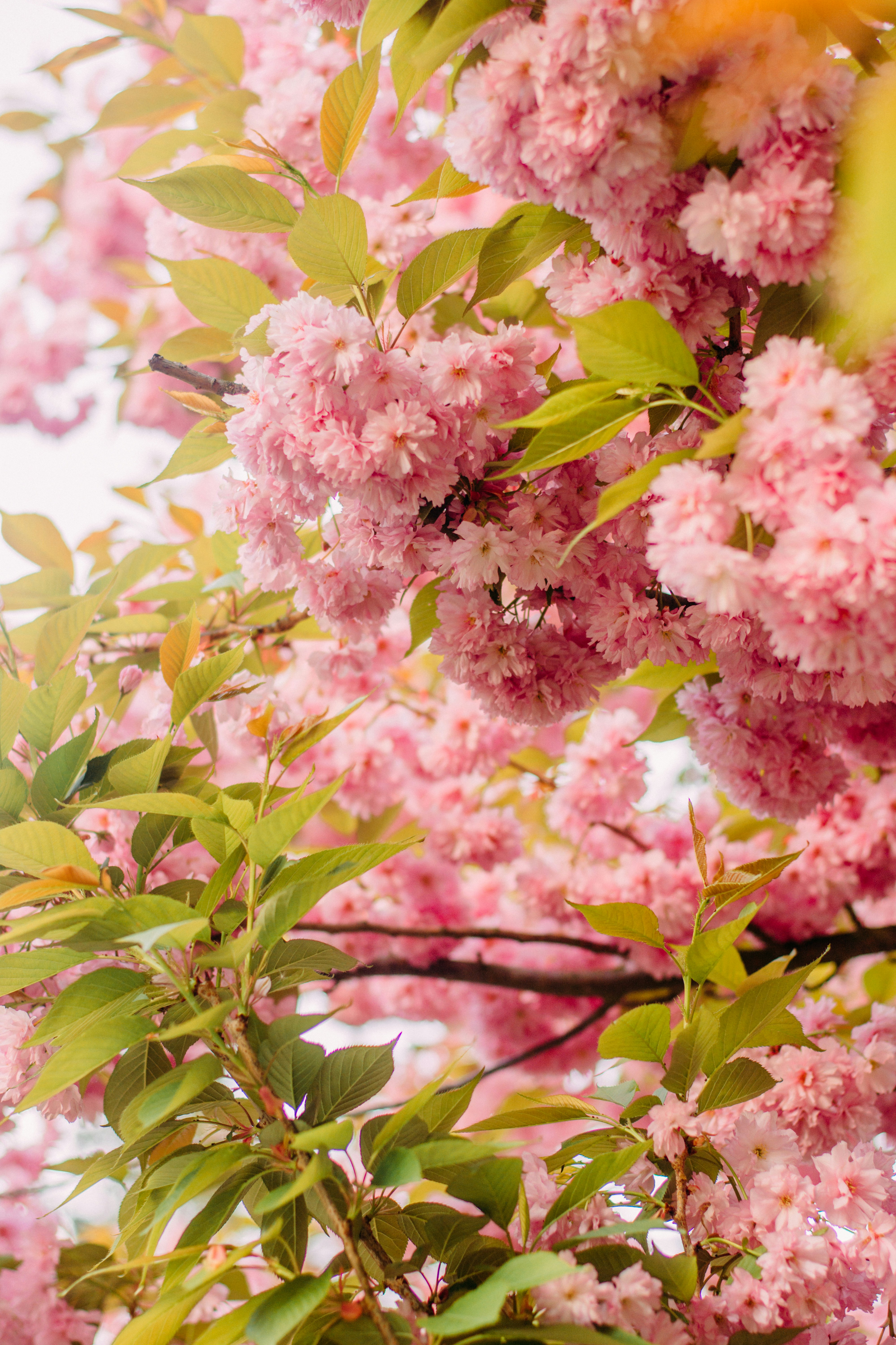 Photo by eugenivy_now