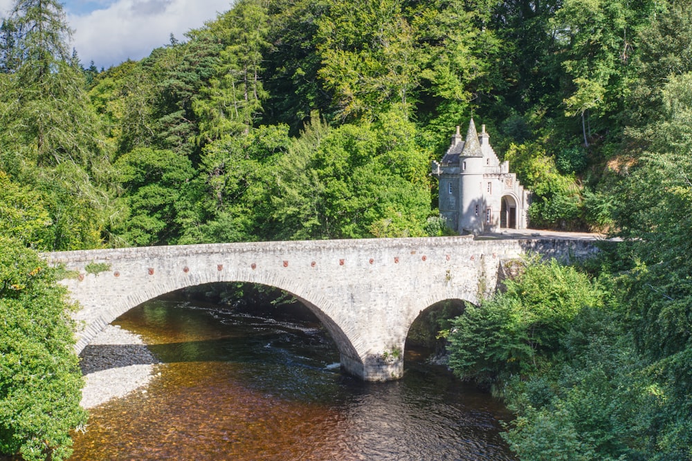 a stone bridge over a river surrounded by trees