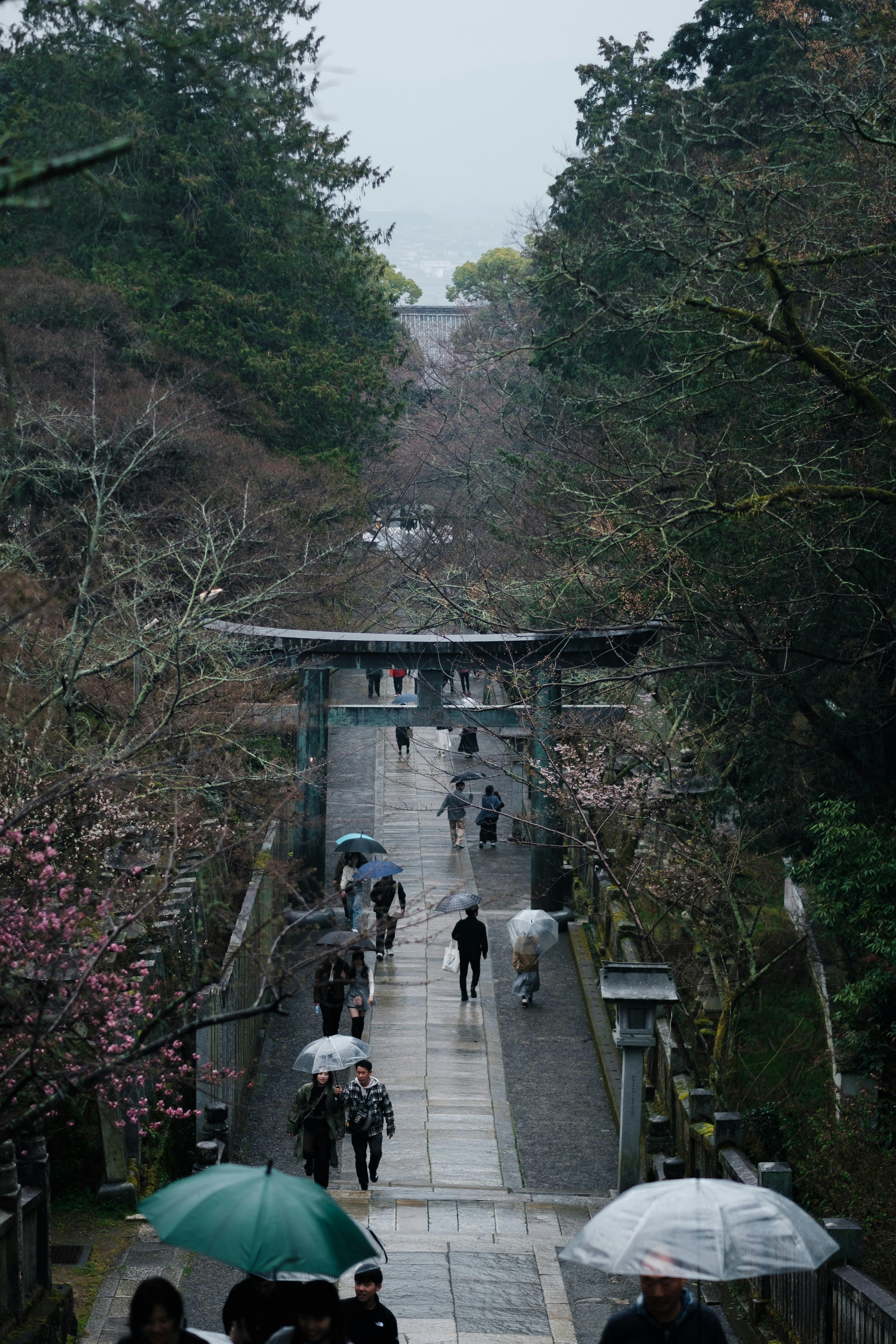 Photo by deltafilm12_