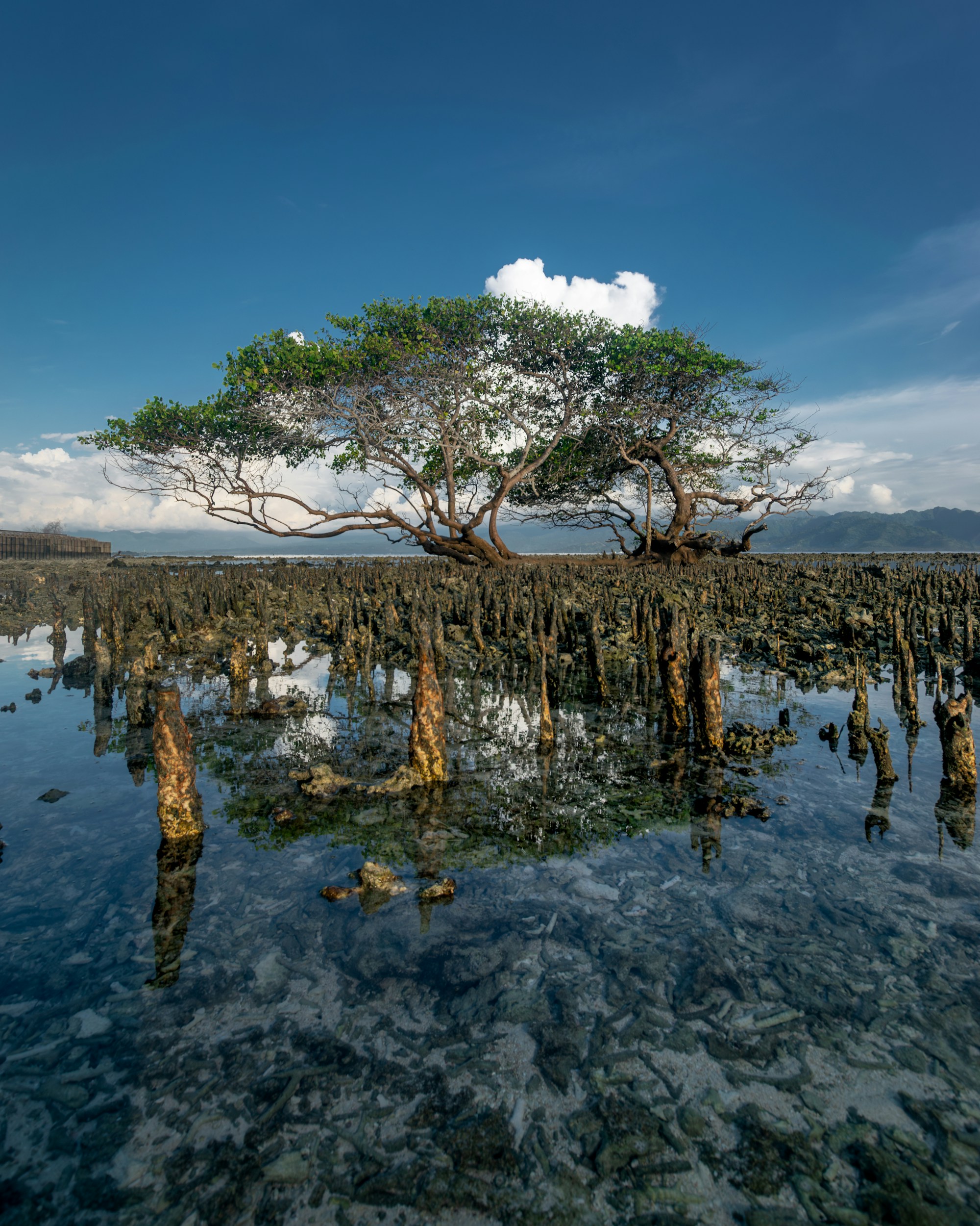Gili Islands Culture & Traditions Guide