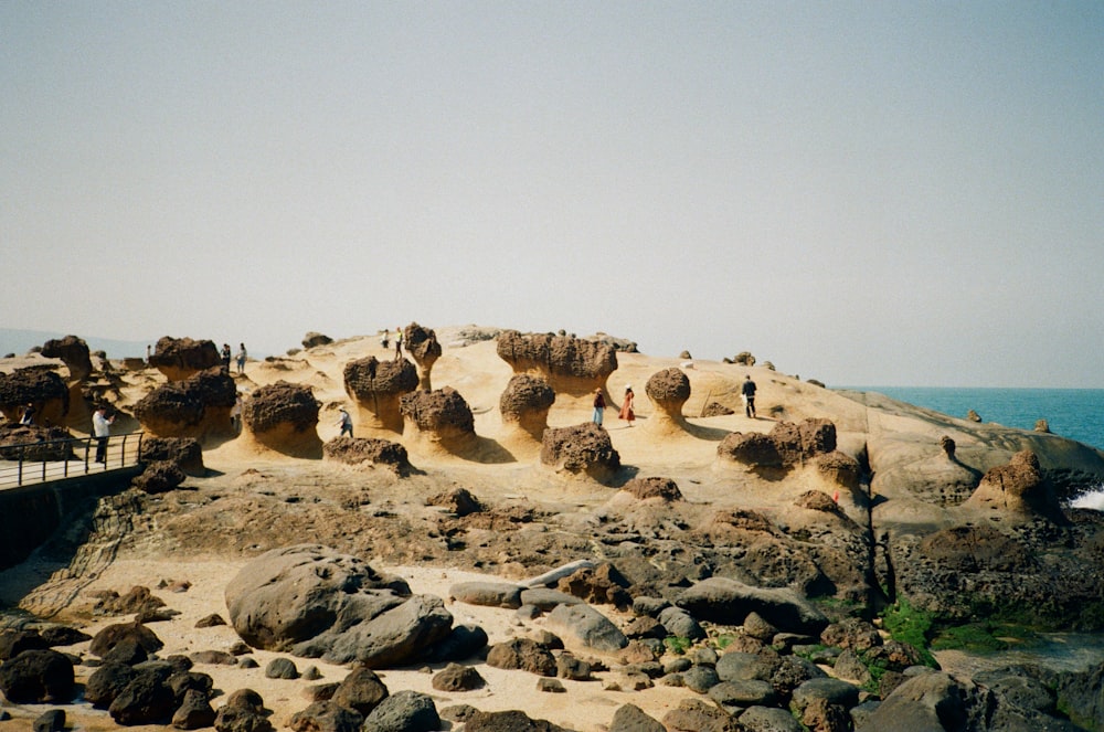 a group of people standing on top of a sandy beach