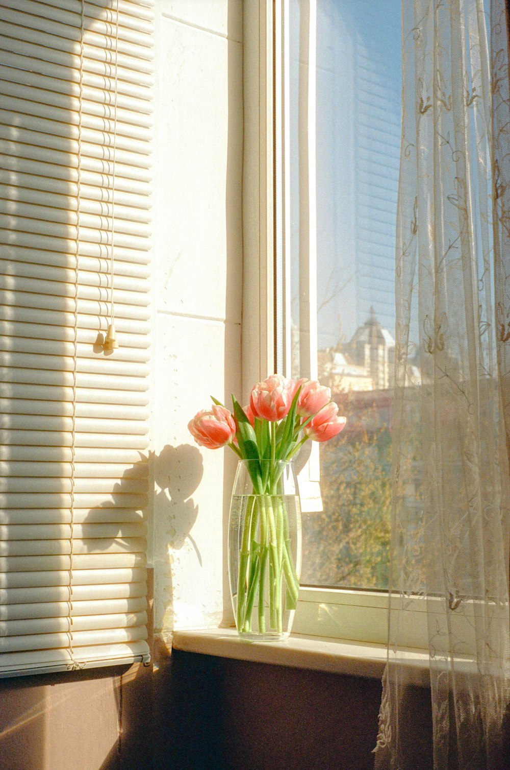 un vaso pieno di fiori rosa seduto accanto a una finestra