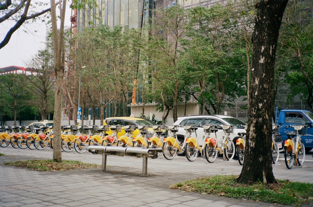 a row of bikes parked next to each other on a sidewalk