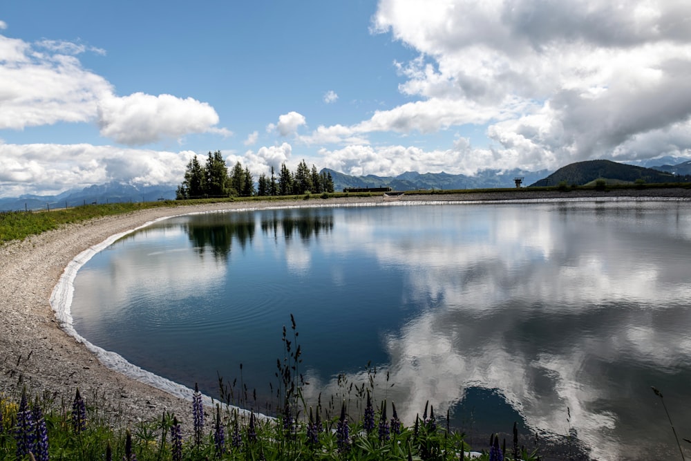 a large body of water sitting next to a lush green field