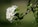 a close up of a flower on a tree branch