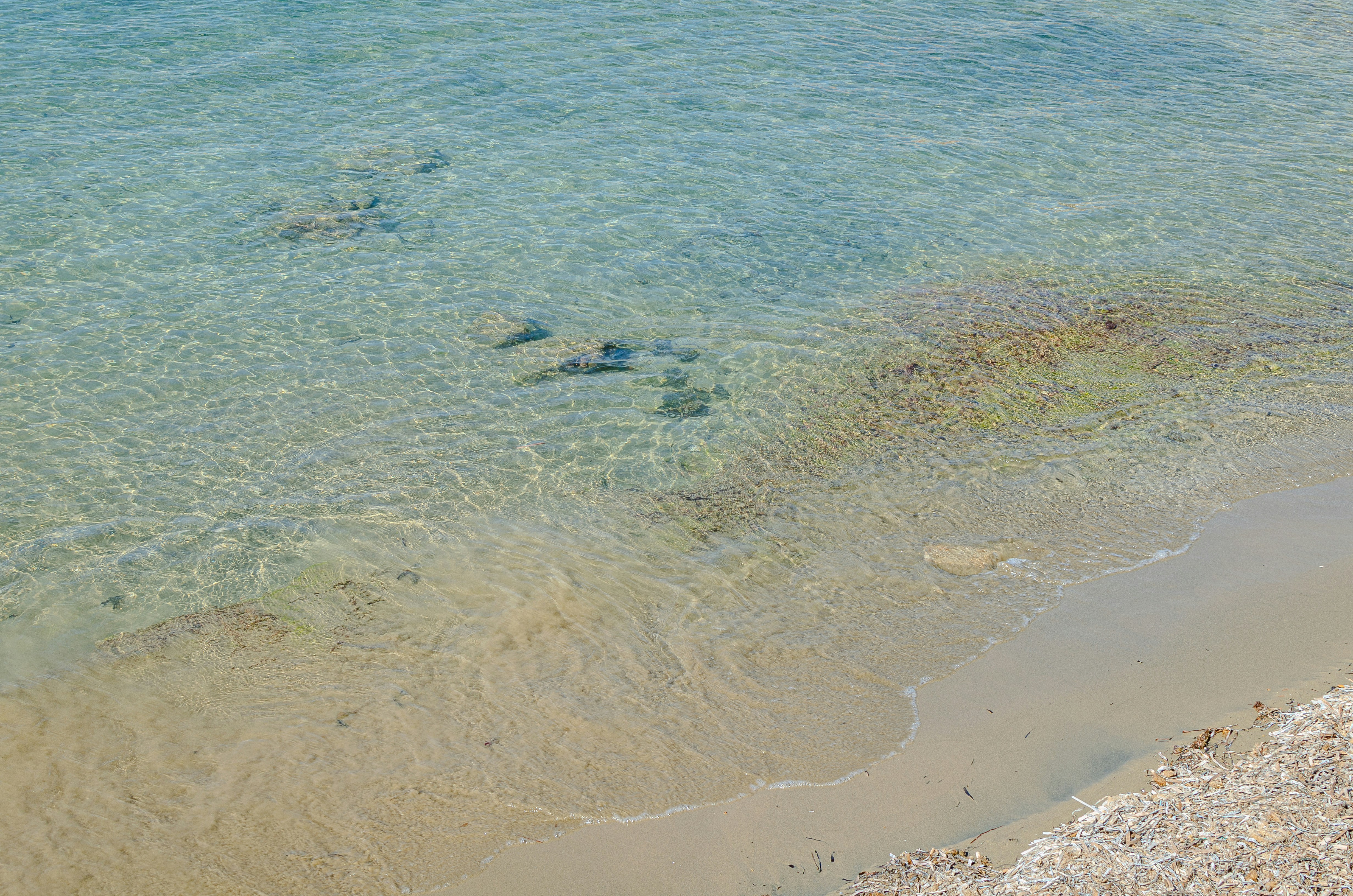 Photo by miguelangelmolp