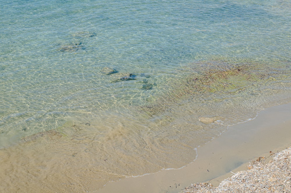 a body of water that has some rocks in it