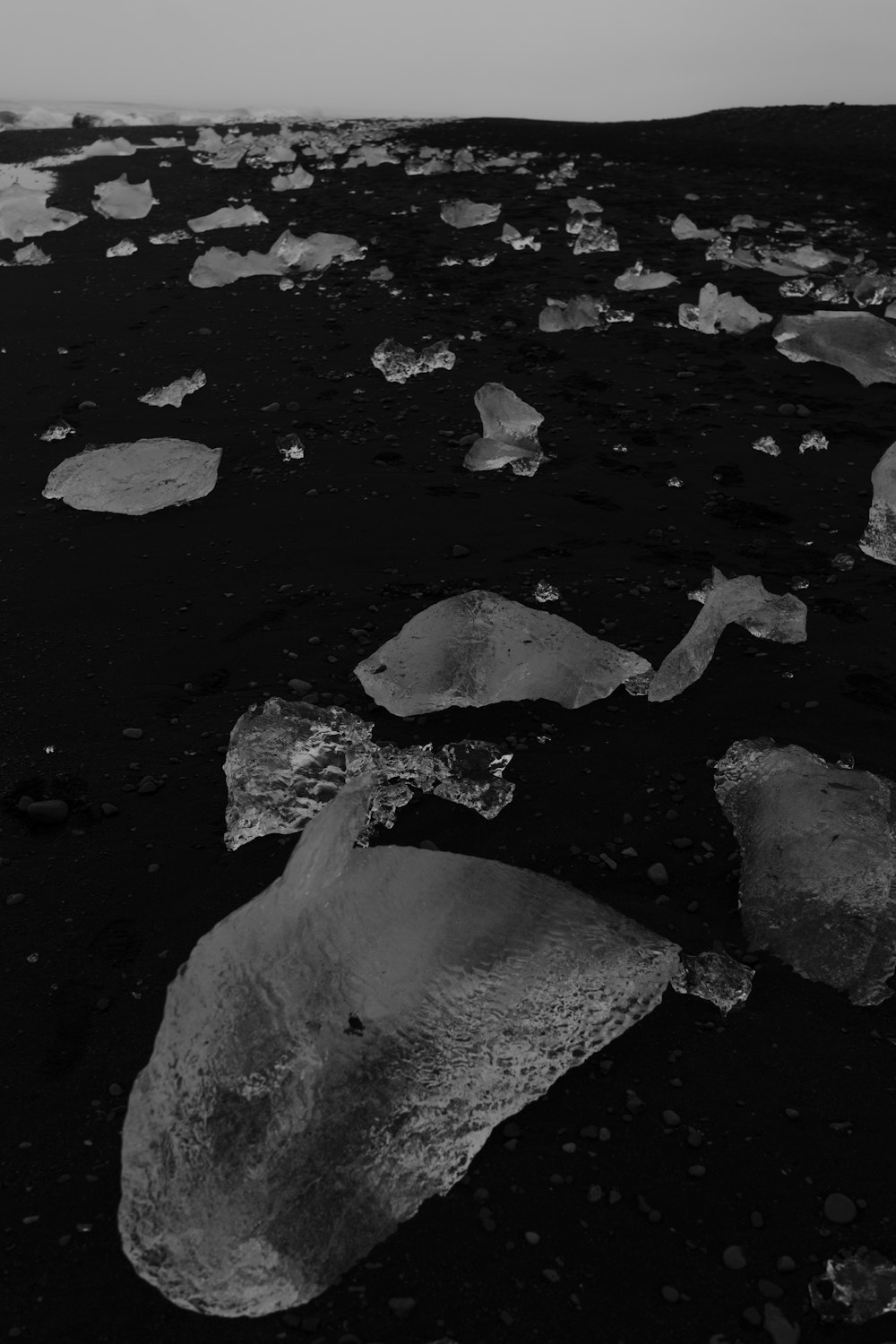 a black and white photo of ice on the ground